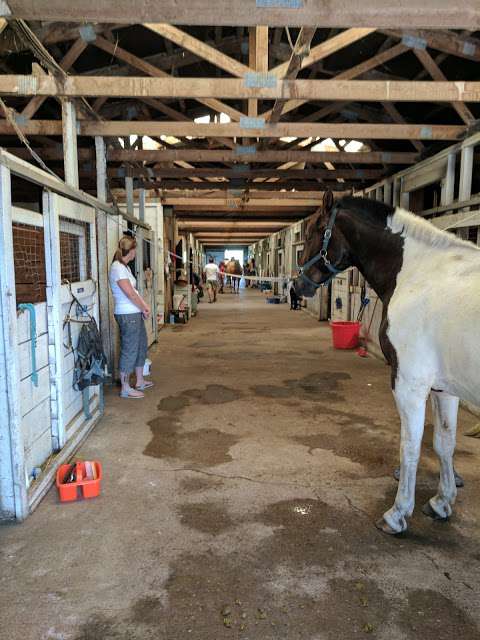 Oak Ridges Equestrian Centre